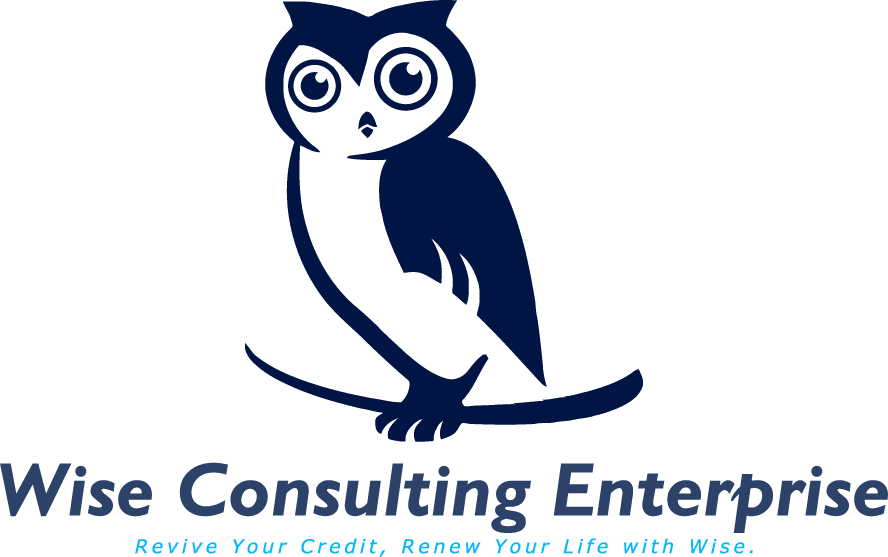 Wise-Consulting-Enterprise-PNG-Logo